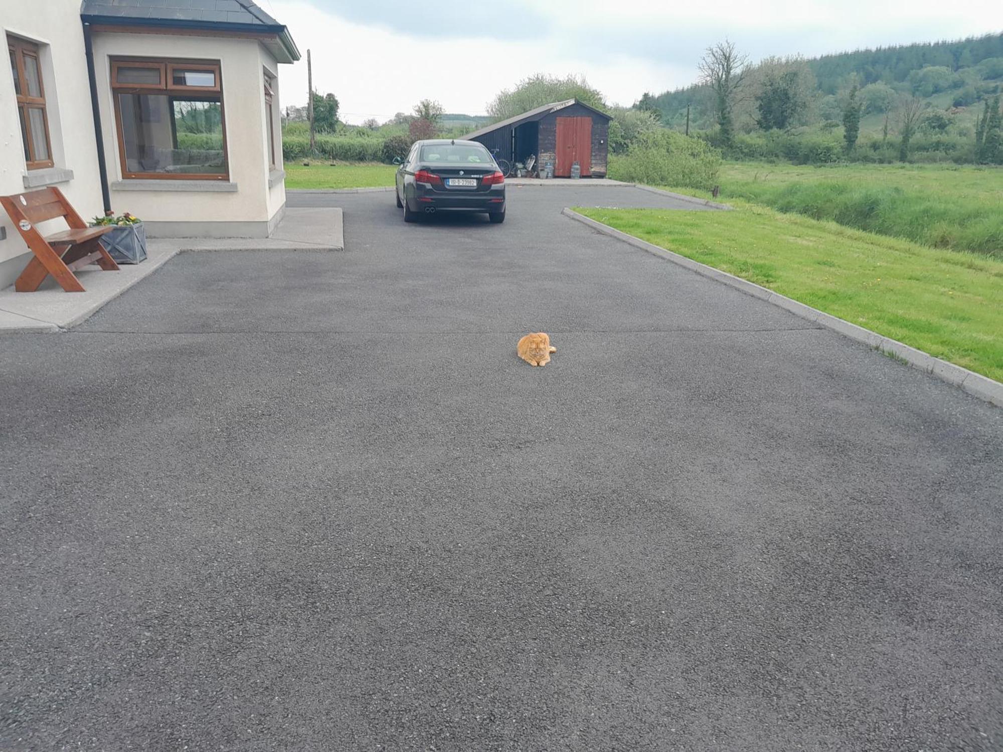 Nature'S Rest Carrick on Shannon エクステリア 写真